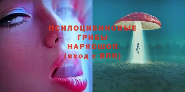 амф Елизово