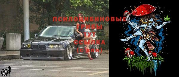 прущая мука Арсеньев